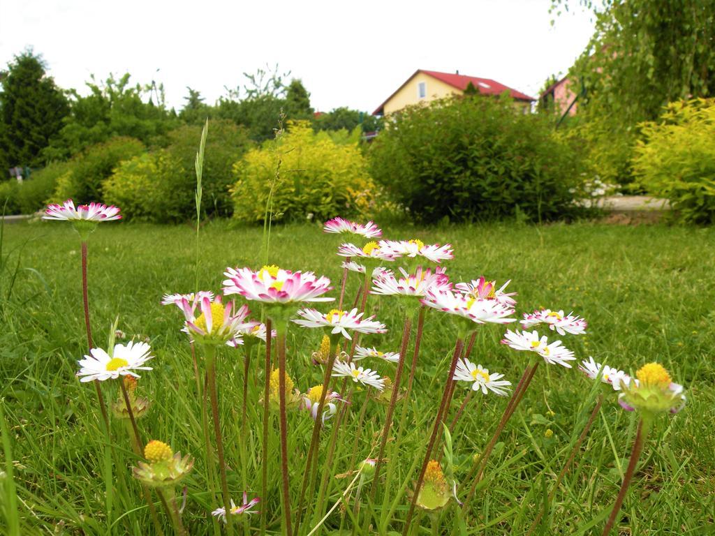 Pokoje Zabi Staw Mikołajki Exterior foto