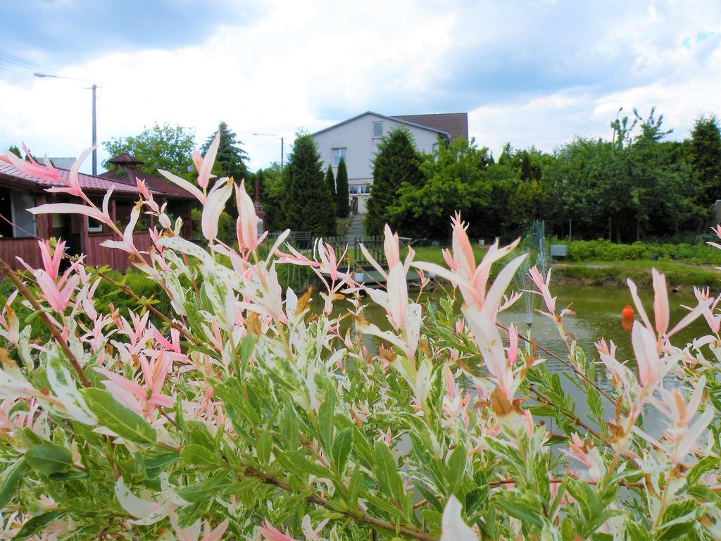 Pokoje Zabi Staw Mikołajki Exterior foto